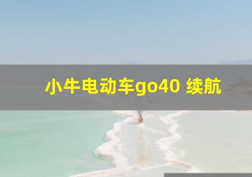 小牛电动车go40 续航